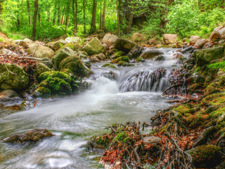 Harz - CALVENDO Foto-Puzzle'
