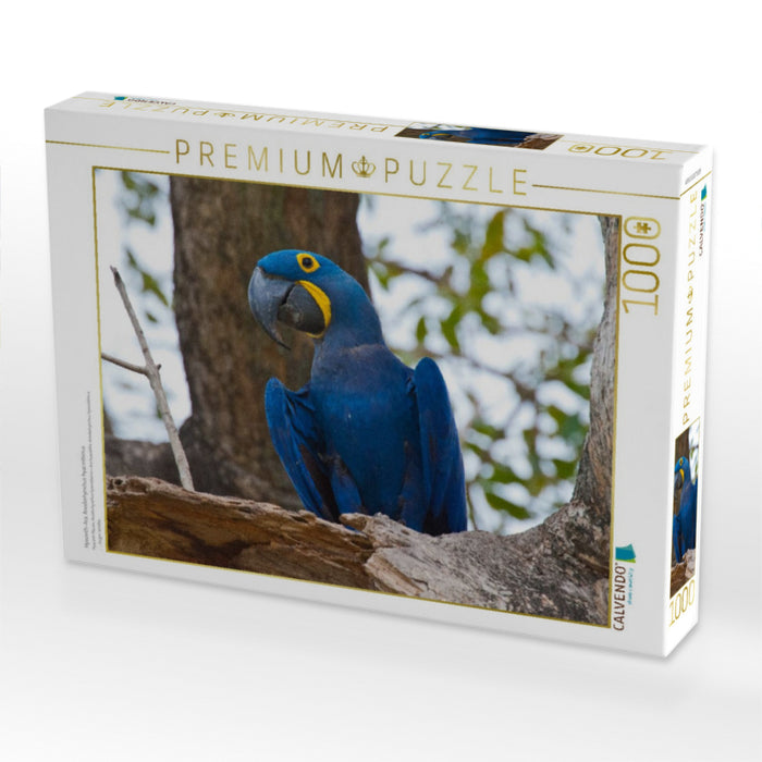 Hyazinth-Ara, Anodorhynchus hyacinthinus - CALVENDO Foto-Puzzle'