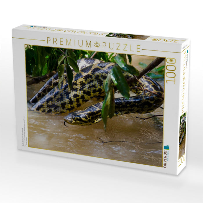 Gelbe Anakonda im Pantanal - CALVENDO Foto-Puzzle'