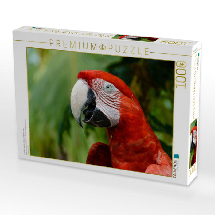 Ein Motiv aus dem Kalender Exotic Peru - CALVENDO Foto-Puzzle'