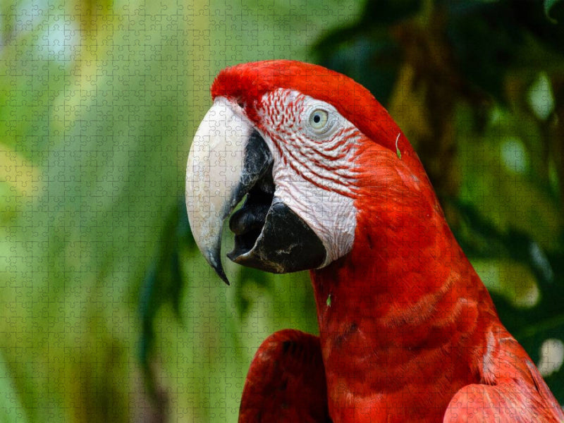 Ein Motiv aus dem Kalender Exotic Peru - CALVENDO Foto-Puzzle'
