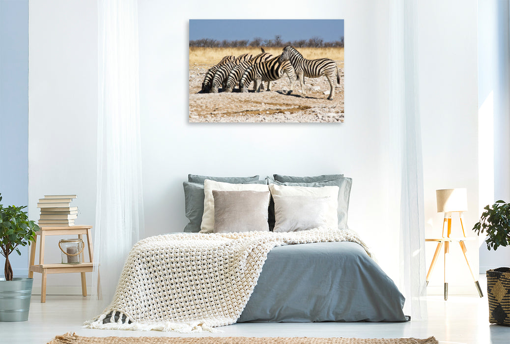 Premium Textil-Leinwand Premium Textil-Leinwand 120 cm x 80 cm quer Burchell Zebras an einem Wasserloch im Etosha National Park