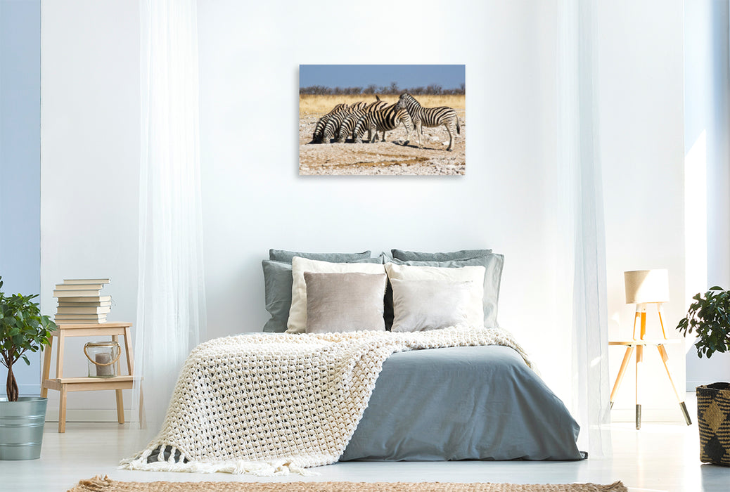 Premium Textil-Leinwand Premium Textil-Leinwand 120 cm x 80 cm quer Burchell Zebras an einem Wasserloch im Etosha National Park