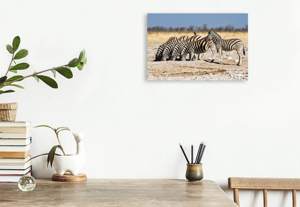 Premium Textil-Leinwand Premium Textil-Leinwand 120 cm x 80 cm quer Burchell Zebras an einem Wasserloch im Etosha National Park