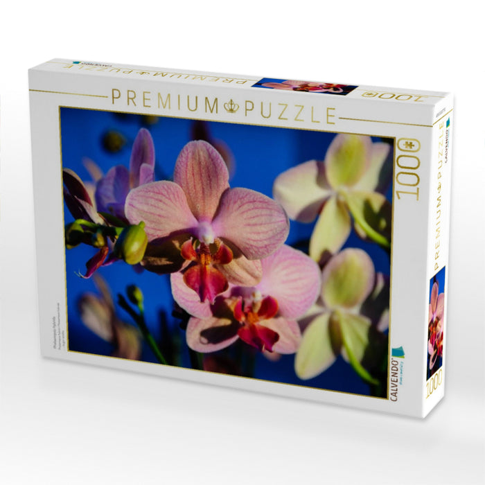 Phalaenopsis Hybride - CALVENDO Foto-Puzzle'