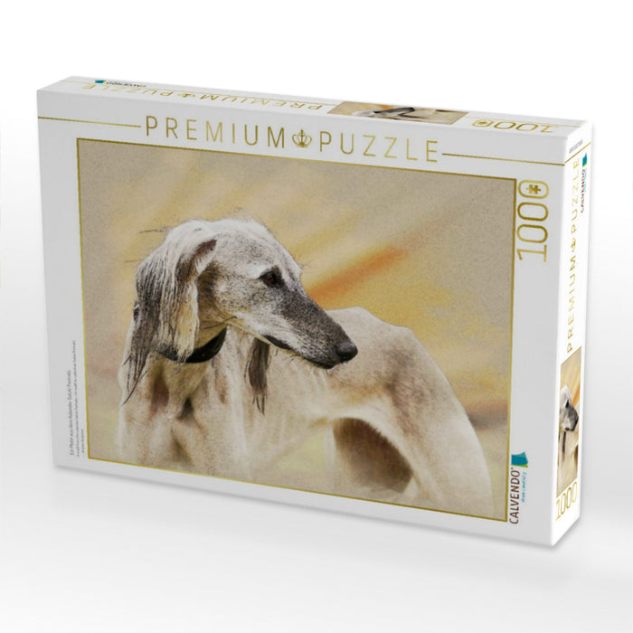 Ein Motiv aus dem Kalender Saluki Portraits - CALVENDO Foto-Puzzle'