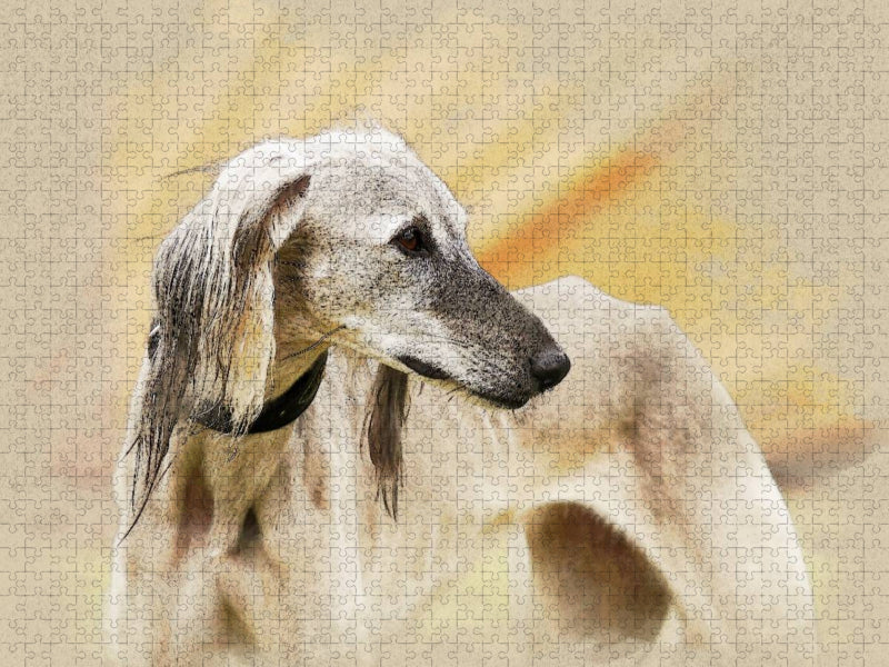 Ein Motiv aus dem Kalender Saluki Portraits - CALVENDO Foto-Puzzle'