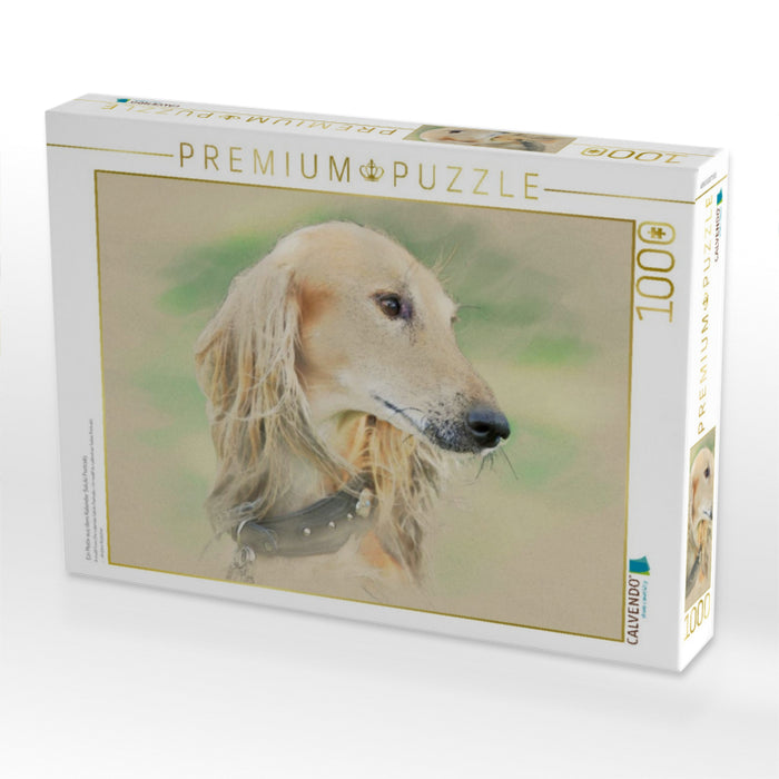 Ein Motiv aus dem Kalender Saluki Portraits - CALVENDO Foto-Puzzle'