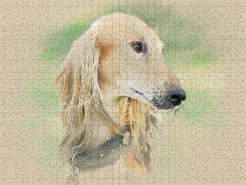 Ein Motiv aus dem Kalender Saluki Portraits - CALVENDO Foto-Puzzle'