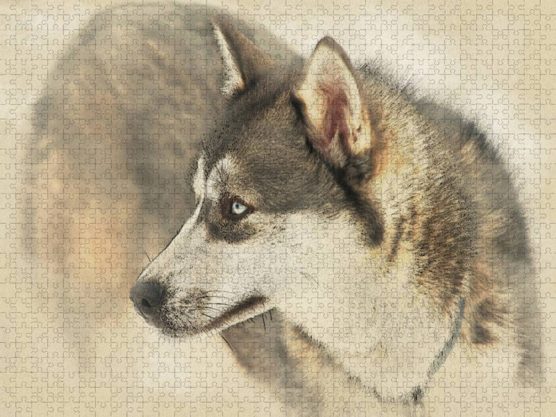 Schlittenhunde - CALVENDO Foto-Puzzle'