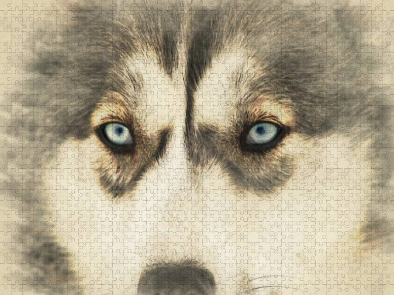 Schlittenhunde - CALVENDO Foto-Puzzle'