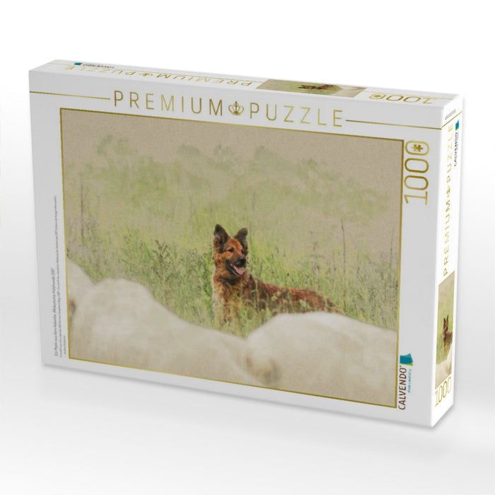 Ein Motiv aus dem Kalender Altdeutsche Hütehunde 2017 - CALVENDO Foto-Puzzle'