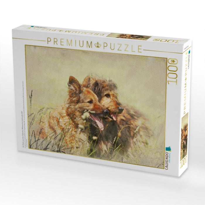 Ein Motiv aus dem Kalender Altdeutsche Hütehunde 2017 - CALVENDO Foto-Puzzle'