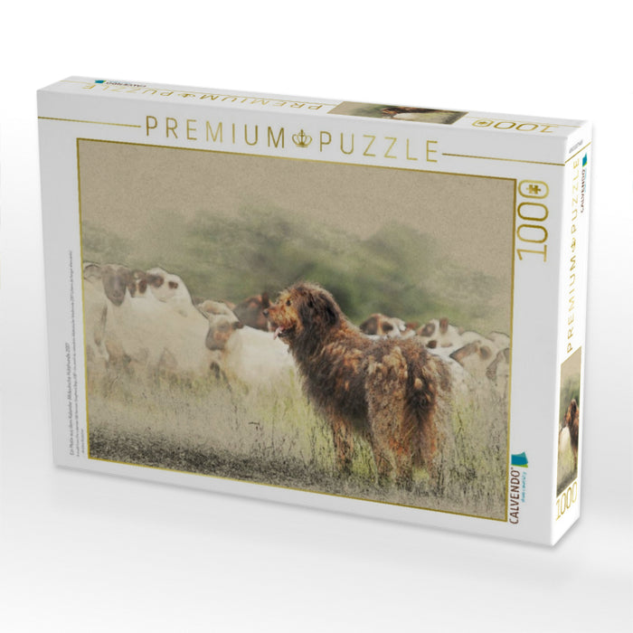 Ein Motiv aus dem Kalender Altdeutsche Hütehunde 2017 - CALVENDO Foto-Puzzle'