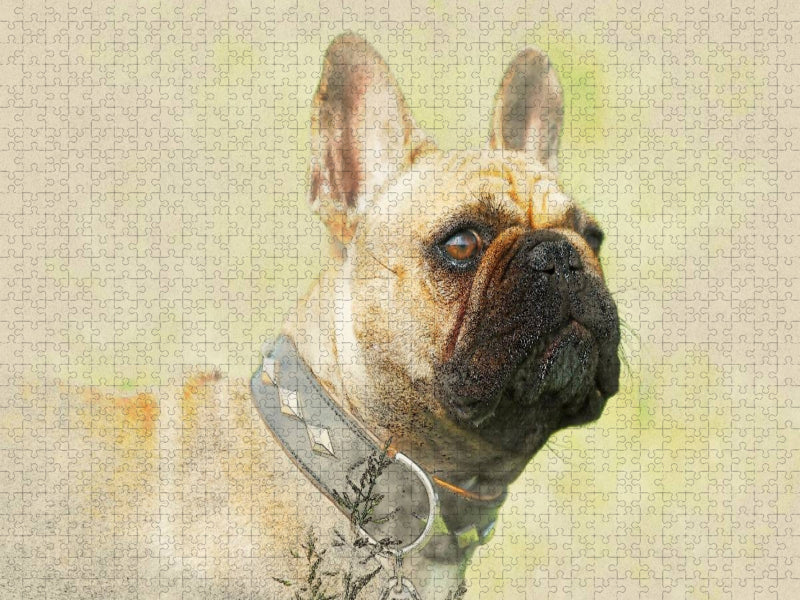 Ein Motiv aus dem Kalender Französische Bulldoggen 2017 - CALVENDO Foto-Puzzle'