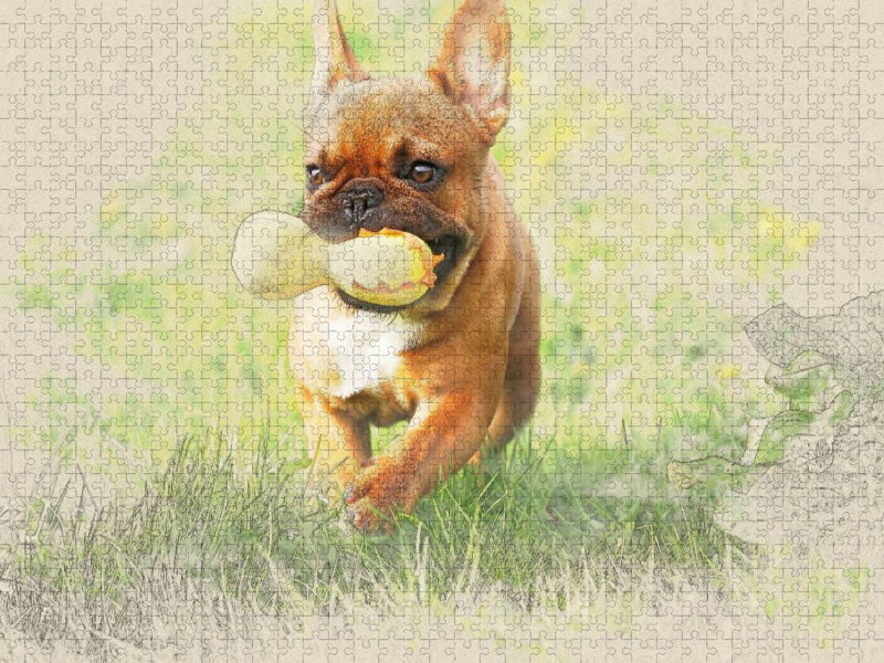 Ein Motiv aus dem Kalender Französische Bulldoggen 2017 - CALVENDO Foto-Puzzle'