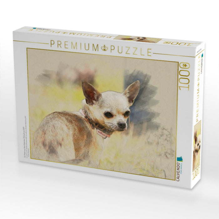 Ein Motiv aus dem Kalender Chihuahuas 2017 - CALVENDO Foto-Puzzle'