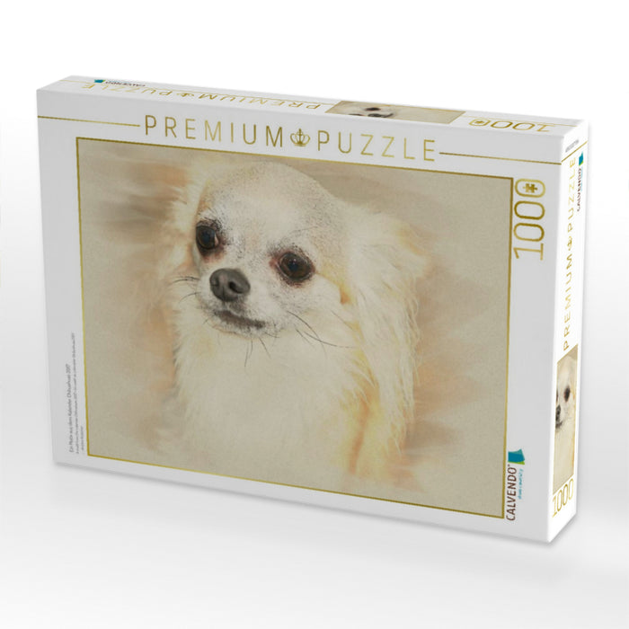 Ein Motiv aus dem Kalender Chihuahuas 2017 - CALVENDO Foto-Puzzle'