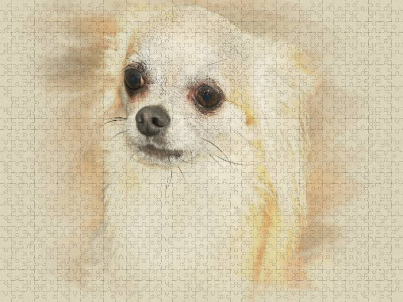 Ein Motiv aus dem Kalender Chihuahuas 2017 - CALVENDO Foto-Puzzle'