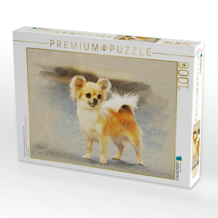 Ein Motiv aus dem Kalender Chihuahuas 2017 - CALVENDO Foto-Puzzle'