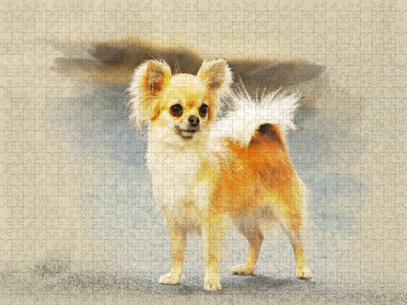 Ein Motiv aus dem Kalender Chihuahuas 2017 - CALVENDO Foto-Puzzle'