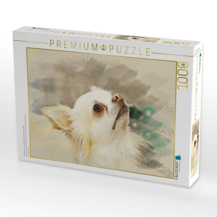 Ein Motiv aus dem Kalender Chihuahuas 2017 - CALVENDO Foto-Puzzle'