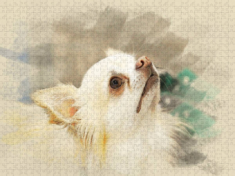 Ein Motiv aus dem Kalender Chihuahuas 2017 - CALVENDO Foto-Puzzle'