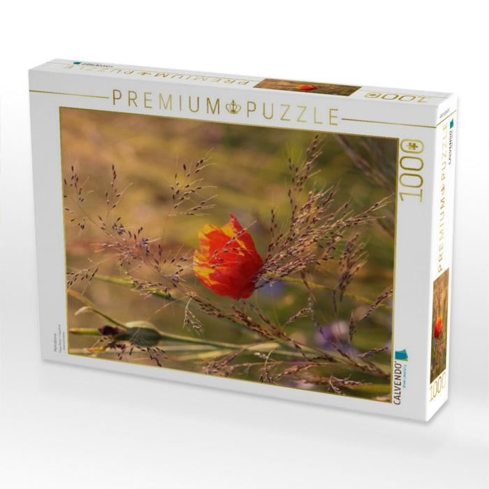 Mohnblume - CALVENDO Foto-Puzzle'