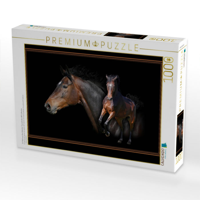Ein Motiv aus dem Kalender Traumpferde-ART-Collection - CALVENDO Foto-Puzzle'