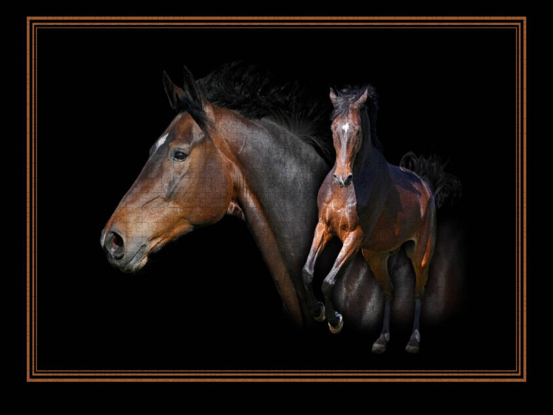 Ein Motiv aus dem Kalender Traumpferde-ART-Collection - CALVENDO Foto-Puzzle'