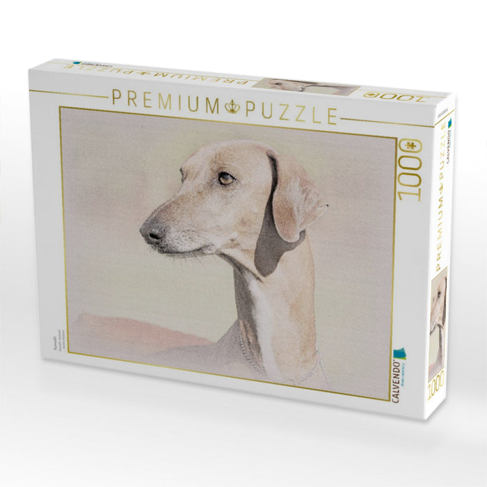 Azawakh - CALVENDO Foto-Puzzle'