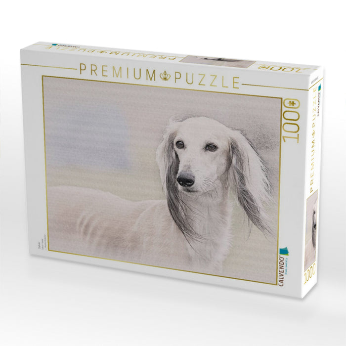 Saluki - CALVENDO Foto-Puzzle'