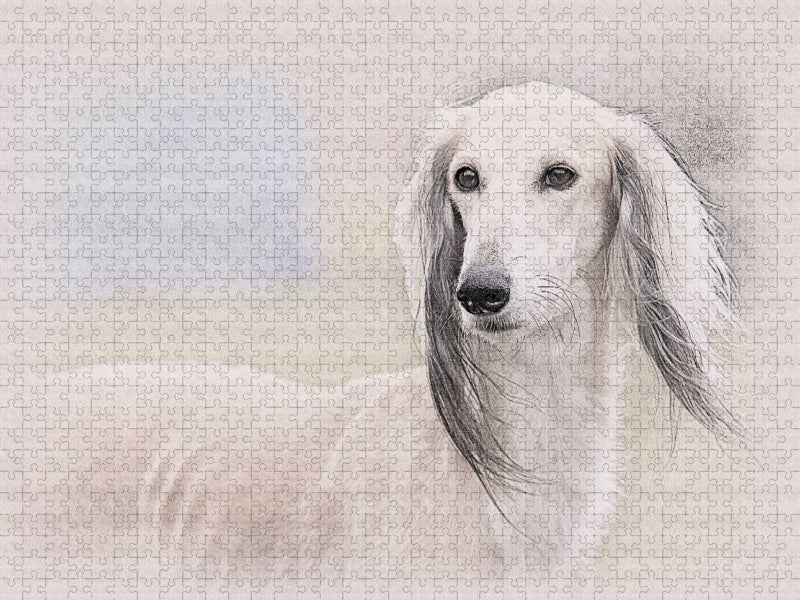 Saluki - CALVENDO Foto-Puzzle'