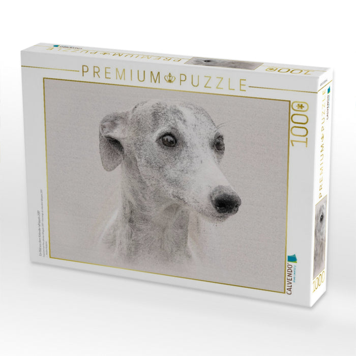 Ein Bild aus dem Kalender Whippets 2017 - CALVENDO Foto-Puzzle'
