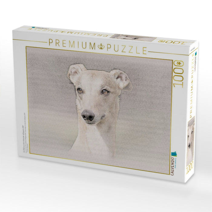 Ein Bild aus dem Kalender Whippets 2017 - CALVENDO Foto-Puzzle'