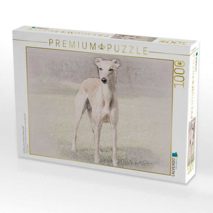 Ein Bild aus dem Kalender Whippets 2017 - CALVENDO Foto-Puzzle'