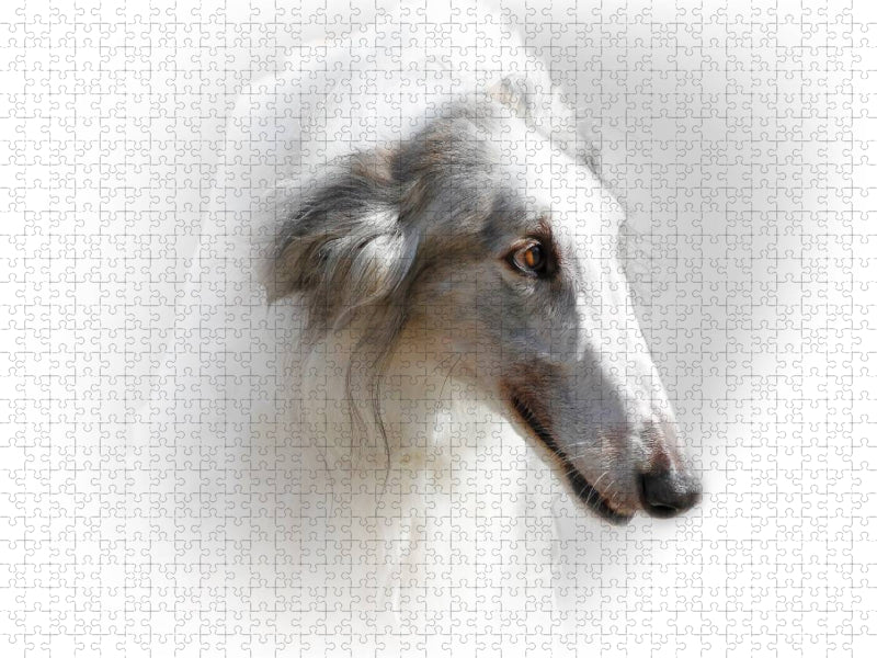 Barsoi (Russischer Windhund) - CALVENDO Foto-Puzzle'