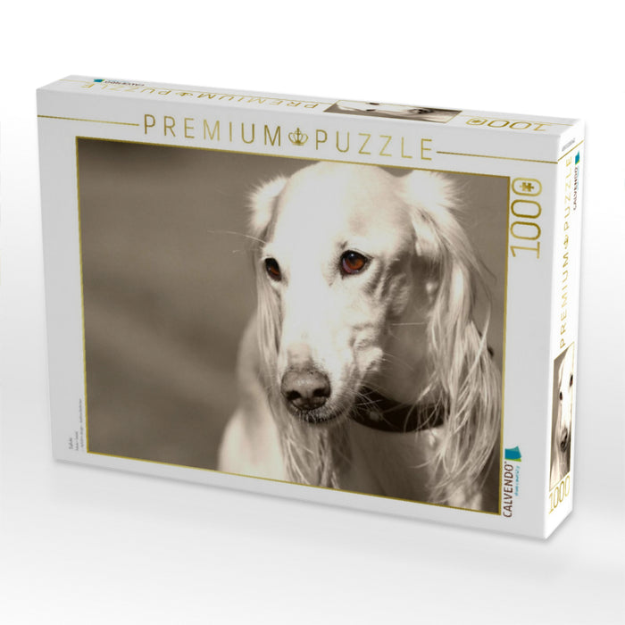 Saluki - CALVENDO Foto-Puzzle'