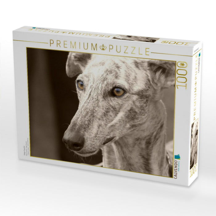Galgo Español - CALVENDO Foto-Puzzle'