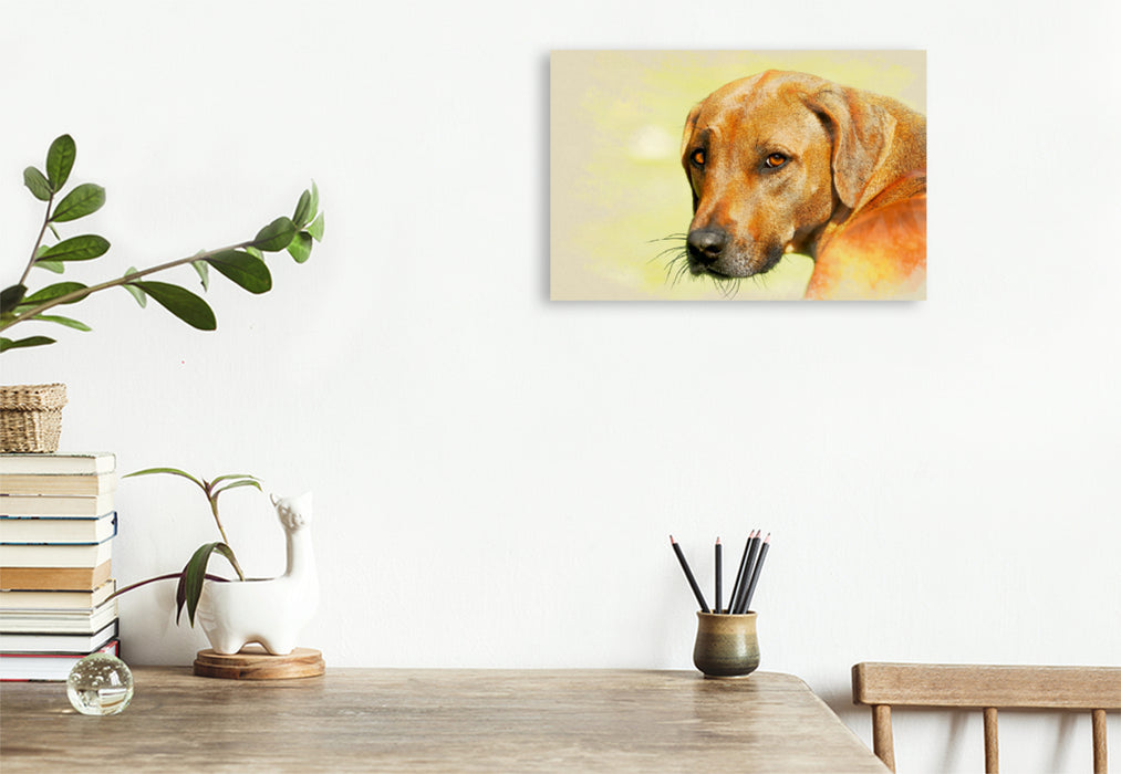 Premium Textil-Leinwand Premium Textil-Leinwand 120 cm x 80 cm quer Ein Motiv aus dem Kalender Rhodesian Ridgeback 2017