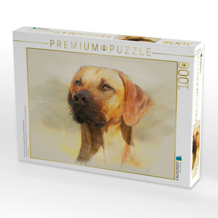 Ein Motiv aus dem Kalender Rhodesian Ridgeback 2017 - CALVENDO Foto-Puzzle'