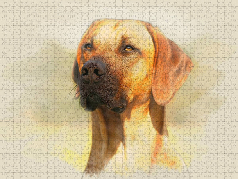 Ein Motiv aus dem Kalender Rhodesian Ridgeback 2017 - CALVENDO Foto-Puzzle'