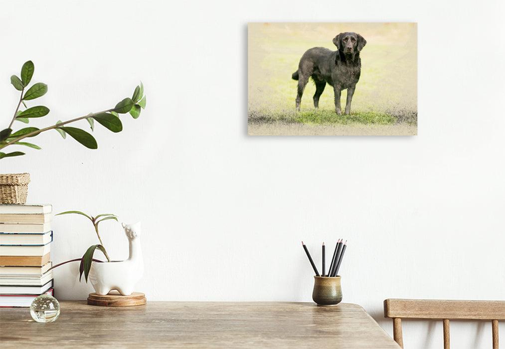 Premium Textil-Leinwand Premium Textil-Leinwand 120 cm x 80 cm quer Ein Motiv aus dem Kalender Labrador Retriever 2017