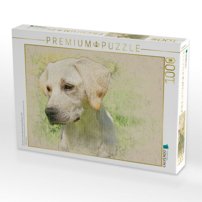 Ein Motiv aus dem Kalender Labrador Retriever 2017 - CALVENDO Foto-Puzzle'
