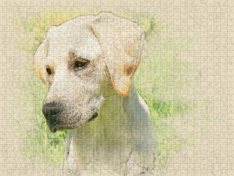 Ein Motiv aus dem Kalender Labrador Retriever 2017 - CALVENDO Foto-Puzzle'