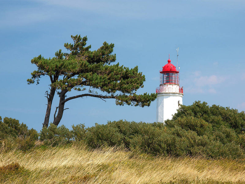 Süderleuchtturm-Hiddensee - CALVENDO photo puzzle 