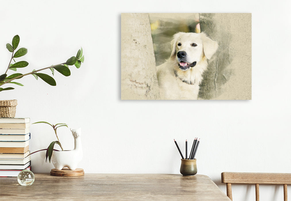 Premium Textil-Leinwand Premium Textil-Leinwand 120 cm x 80 cm quer Ein Motiv aus dem Kalender Golden Retriever 2017