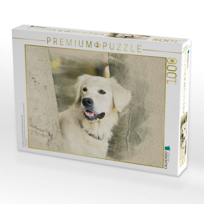 Ein Motiv aus dem Kalender Golden Retriever 2017 - CALVENDO Foto-Puzzle'