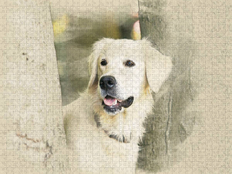 Ein Motiv aus dem Kalender Golden Retriever 2017 - CALVENDO Foto-Puzzle'