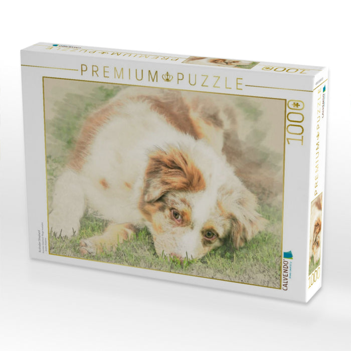 Australian Shepherd - CALVENDO Foto-Puzzle'